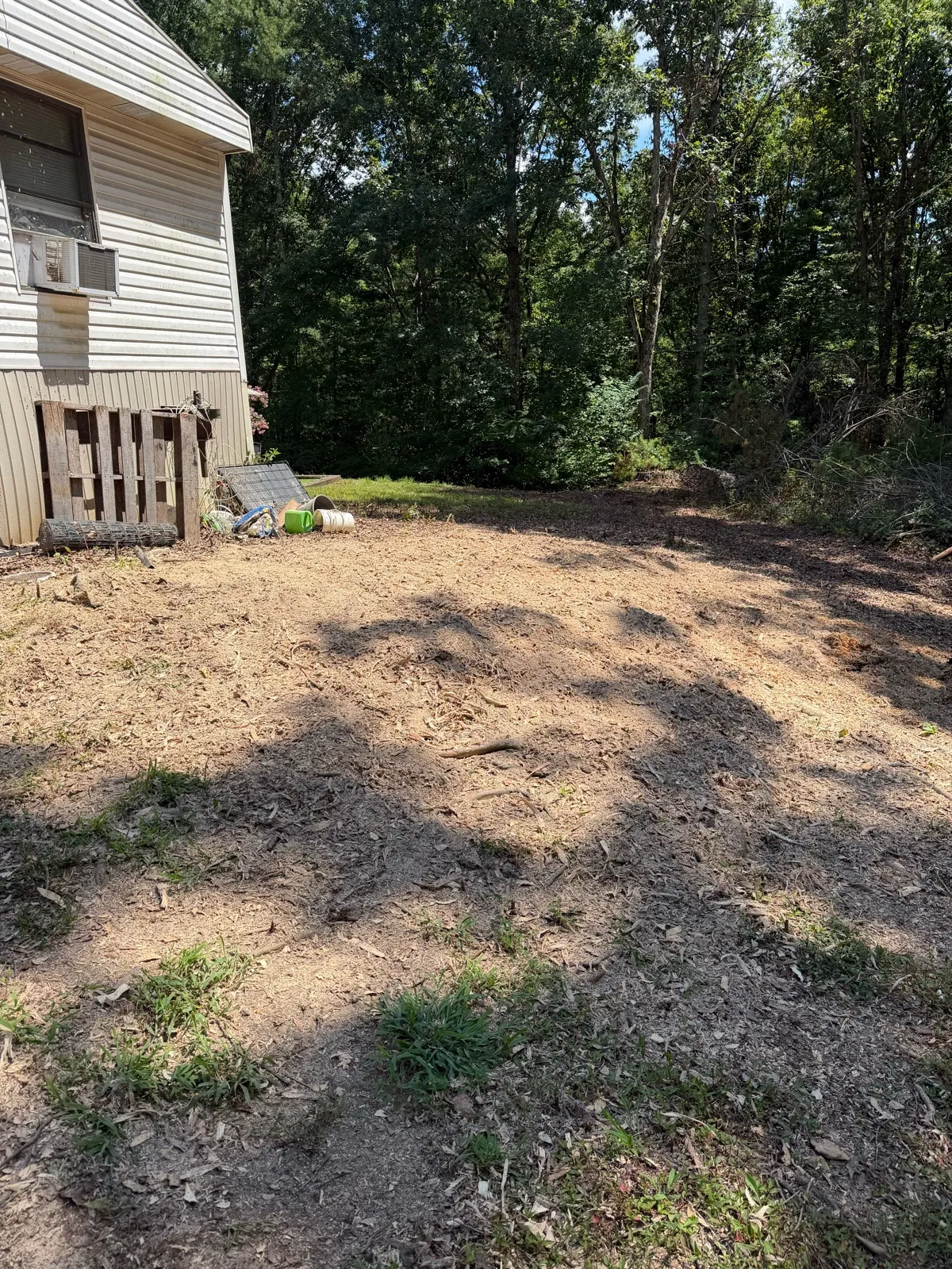 The same spot after grinding, stump and surface roots gone, ground raked level
